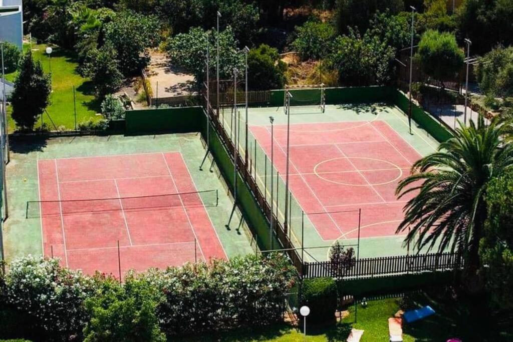 Verano Eterno En Mallorca - Alcudia! المظهر الخارجي الصورة