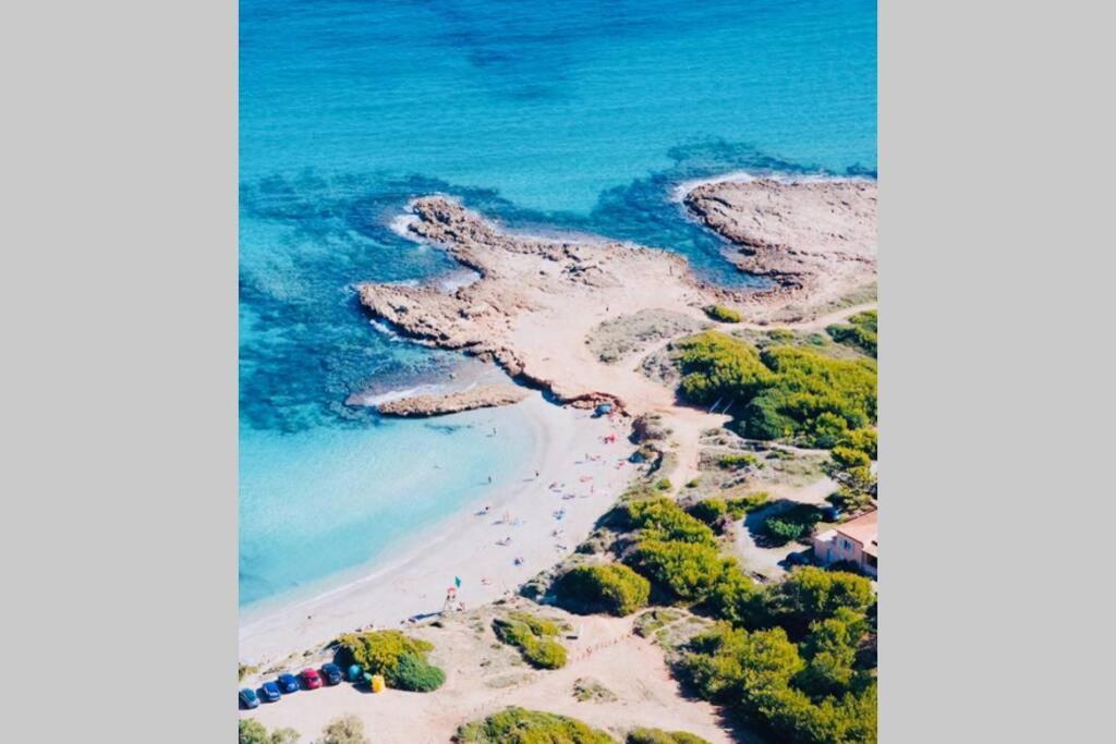 Verano Eterno En Mallorca - Alcudia! المظهر الخارجي الصورة